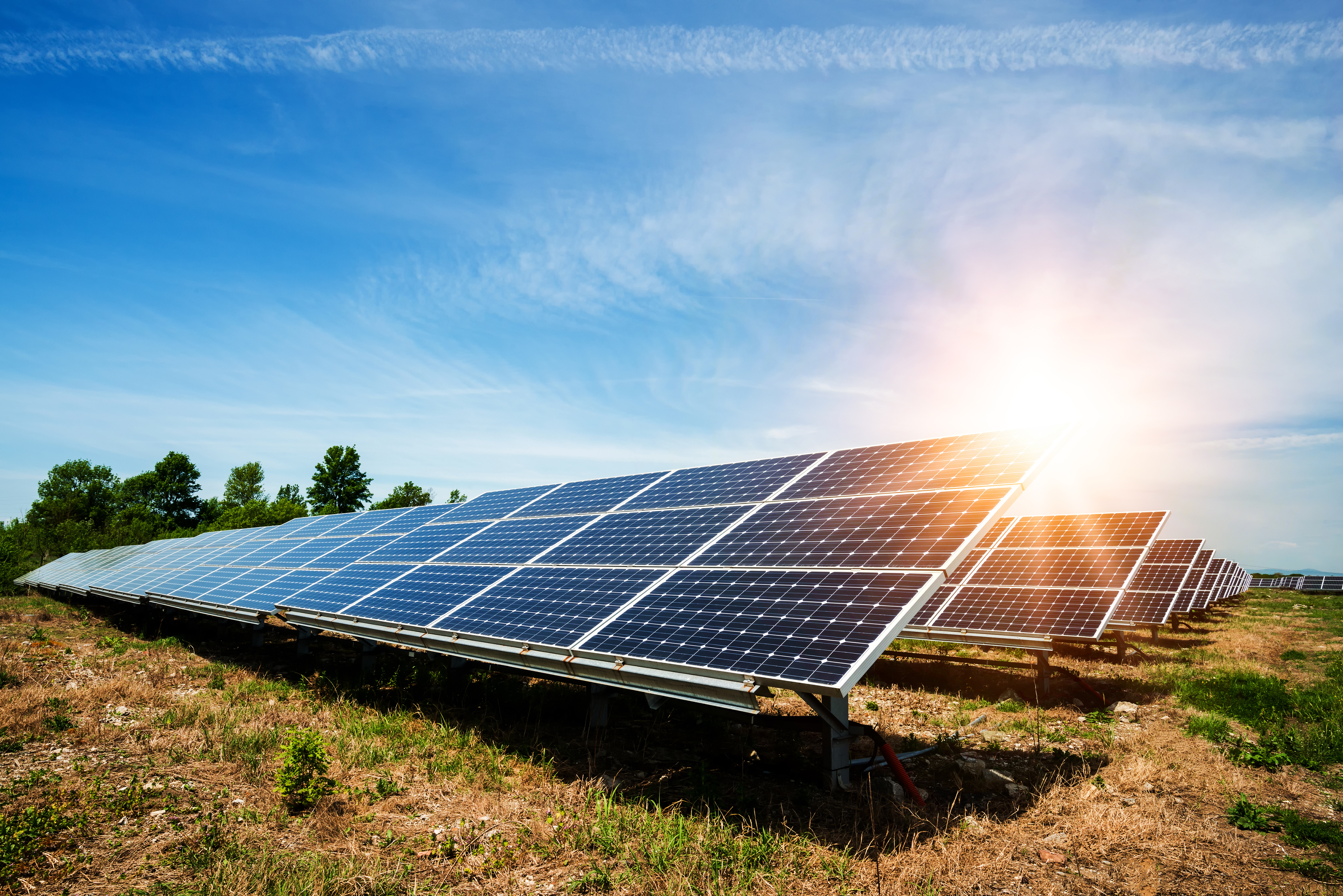 A large photovoltaic (PV) solar farm with rows of solar panels arranged in grids, capturing sunlight to generate renewable energy, set against a clear sky and open landscape.